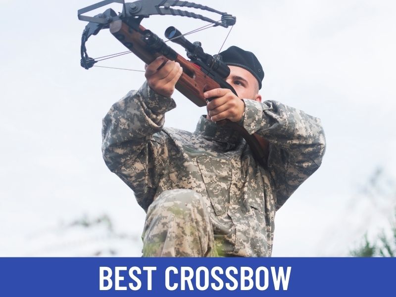 7 Best Crossbows For Hunters & Enthusiasts (A 2024 Review)