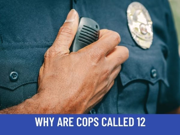 why-are-police-called-12