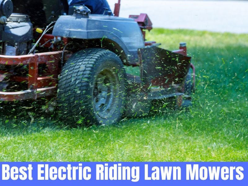 5 Best Electric Riding Lawn Mowers [Detailed Review for 2024]