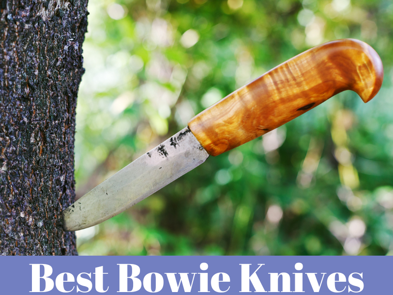 bowie knife stuck on tree